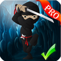 ninja adventure