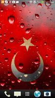 Turkey flag poster