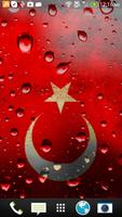 Turkey flag الملصق