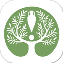 Villa Vergiana APK