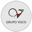 Grupo Visco