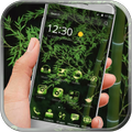Green Bamboo Launcher