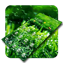 Rainy Grass Green Fresh APK