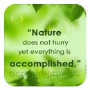 Nature Green APK