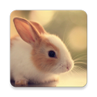 Cute Animals icon