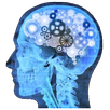 Erudition Test APK