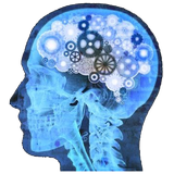 Erudition Test icône