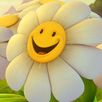 Grow APK