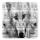 Ice Wolf keyboard themes icône