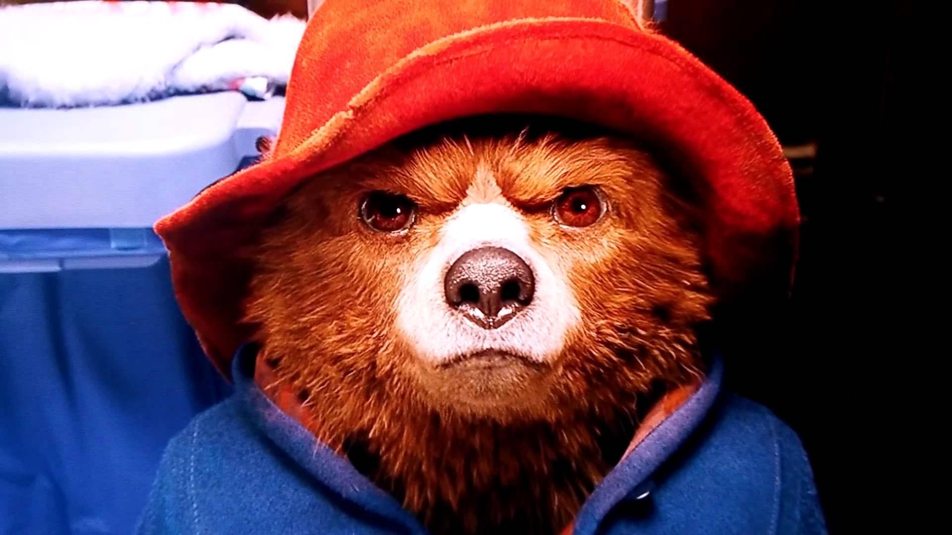 Paddington Wallpaper Challenge For Android Apk Download