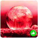 Guess Red Ball APK