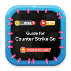 Guide for Counter Strike Go icône