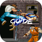 NEW Guide for Final Fight 2017 أيقونة