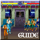 Guide For Final Fight 아이콘