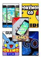 Guide Find Pokemon Go Cartaz