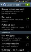 Developer Options الملصق