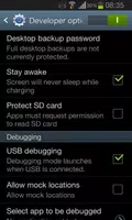 Developer Options پوسٹر