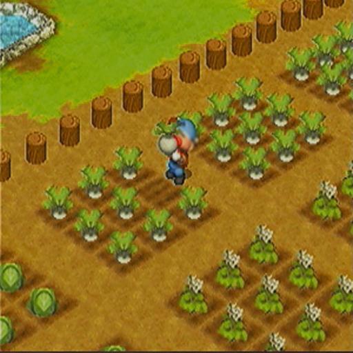 Tips Harvest Moon APK for Android Download Tips Harvest Moon APK for Android Download