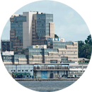 Douala - Wiki APK