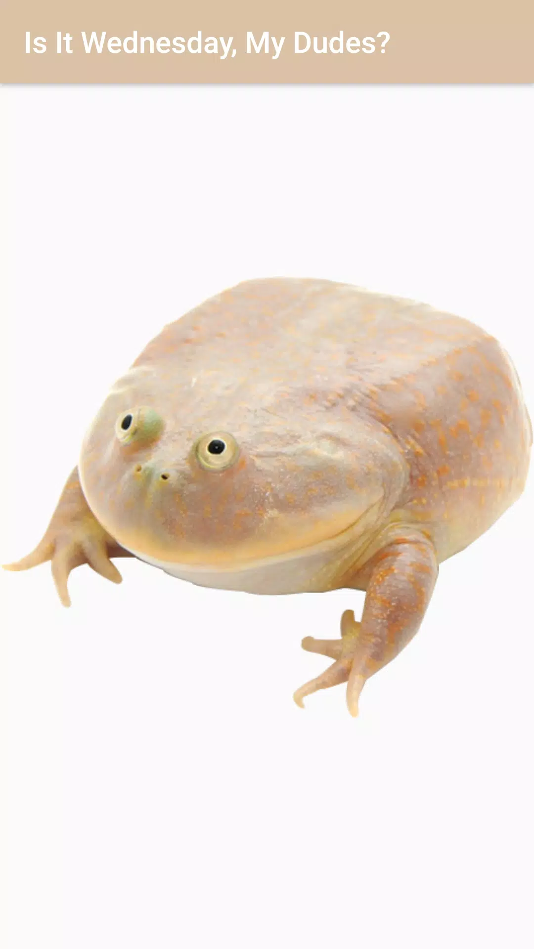 It Is Wednesday My Dudes