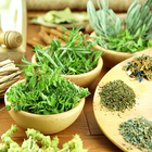 Herbs and Use biểu tượng
