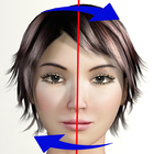 Icona Face Symmetry