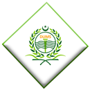 Driving Licence Information APK