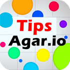 Tips for Agar.io icône