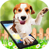 Dog walks On Screen - Cute Dog in Phone Funny Joke APK