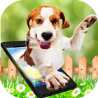 Dog walks On Screen - Cute Dog in Phone Funny Joke 圖標