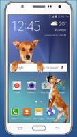 Dog walks On Screen - Cute Dog in Phone Funny Joke โปสเตอร์