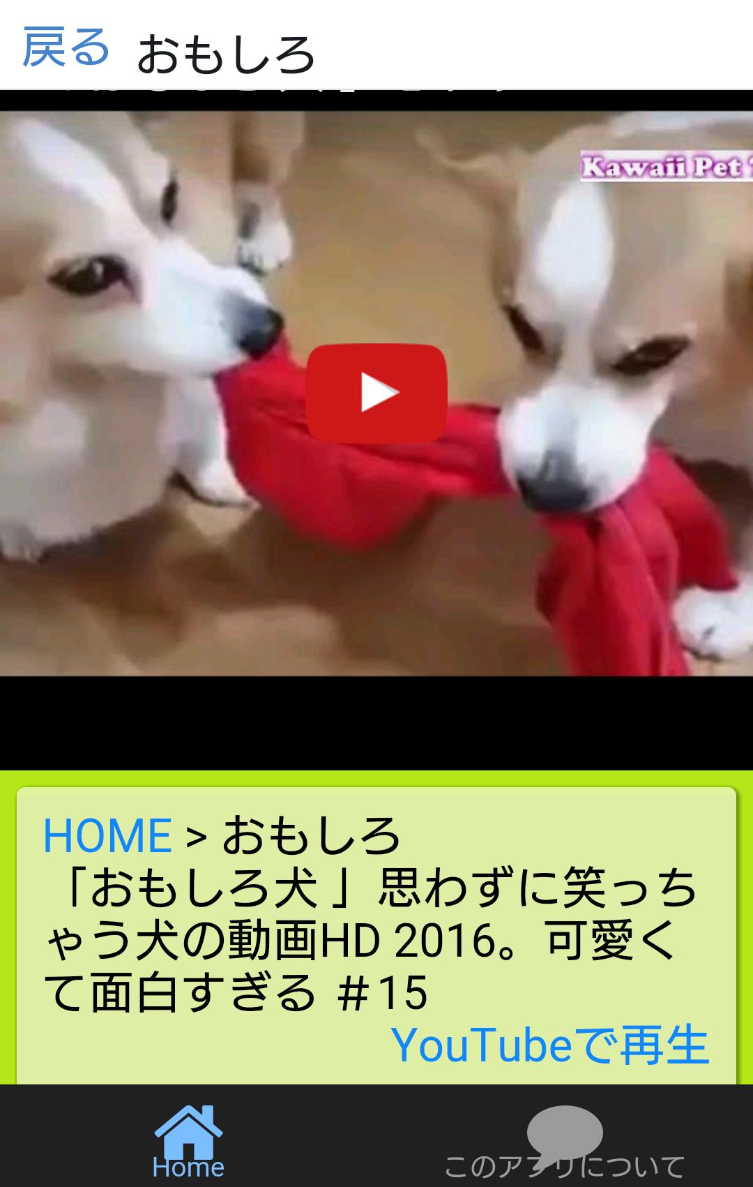 犬コレクション 犬動画まとめアプリ For Android Apk Download
