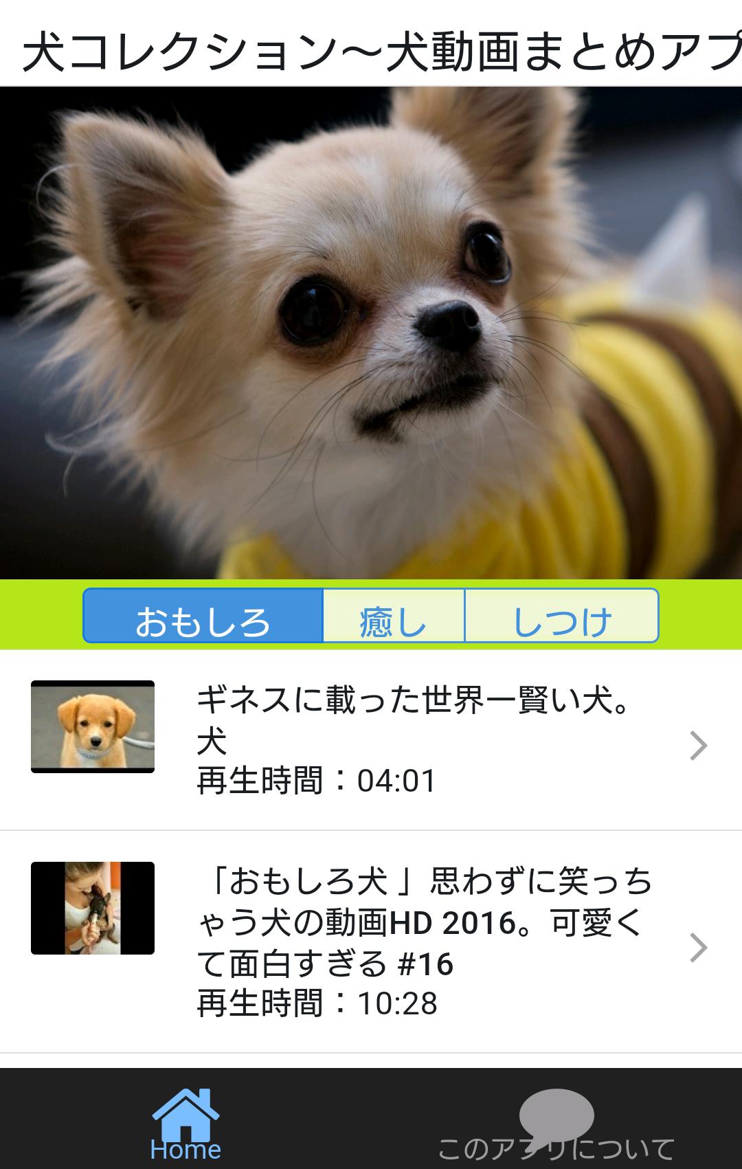 犬コレクション 犬動画まとめアプリ For Android Apk Download