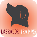 Labrador Dog Training APK