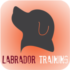 Labrador Dog Training ikon