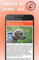 Labrador Dog Training capture d'écran 1