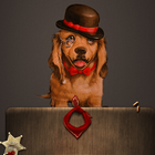 Mr Dog Golden Retriever icon