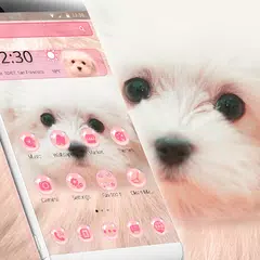 Pink Cute Puppy Theme APK download