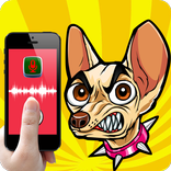 Human to Dog Translator Prank