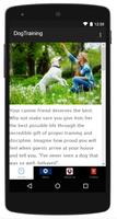 Dog Training Practical Guide poster