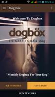 Dog Box poster