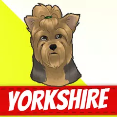 Yorkshire Terrier Dogs APK download