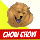 Chow-Chow Zeichen