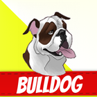 Englische Bulldogge Zeichen