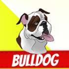 English Bulldog icône