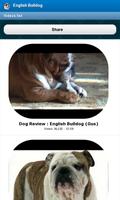 English Bulldog स्क्रीनशॉट 3