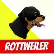 Собаки Ротвейлер