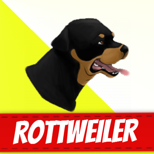 Cani Rottweiler