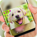 Smiling Doggy Keyboard APK