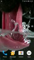 Dog Drinking Water Video Wallp تصوير الشاشة 1